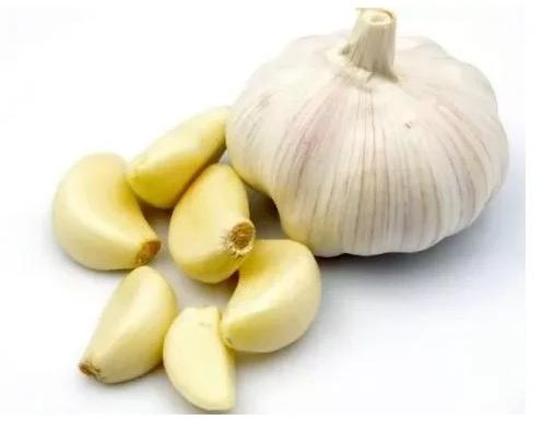 Fresh Garlic