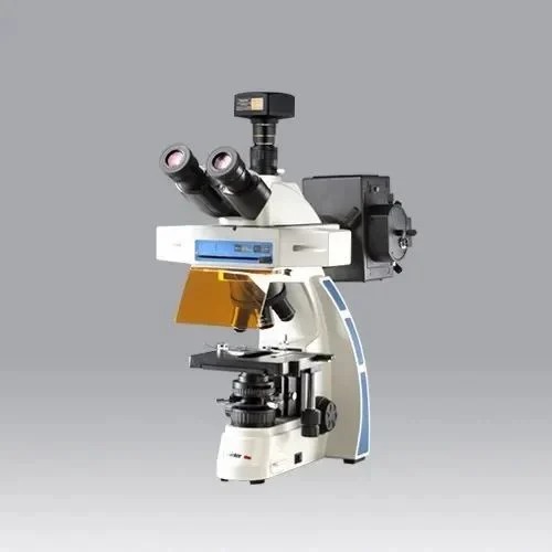 Classic FL Trinocular Fluorescence Microscope Model