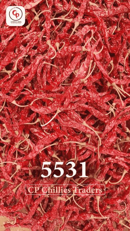 Spice With Stem Organic 5531 chill, Variety : Guntur Dry Red Chilli