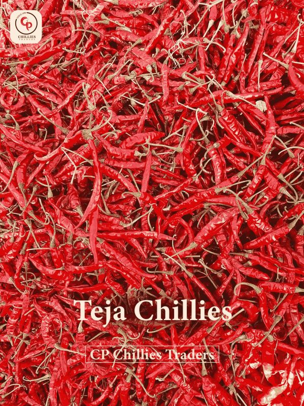 With Stem Spice teja chilli, Color : Red