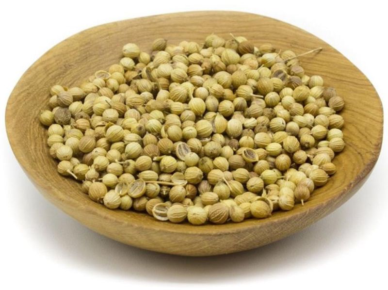 Green Raw Natural Coriander Seeds, for Cooking, Grade Standard : Food Grade