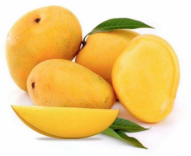 Natural Banganapalli Mango, for Juice Making, Food Processing, Direct Consumption, Packaging Type : Carton