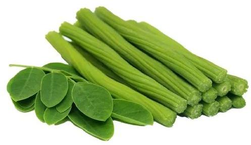 Green Natural A Grade Fresh Drumstick, for Cooking, Packaging Type : Bag