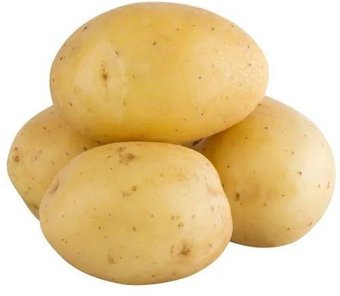 Brown A Grade Fresh Potato, for Cooking, Packaging Type : Bag