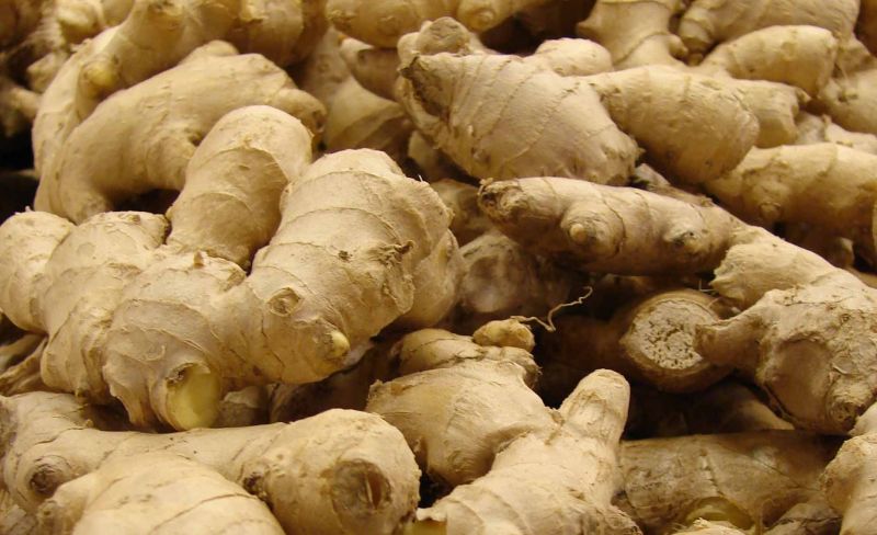 Natural Fresh Ginger, for Cooking, Packaging Type : Bag