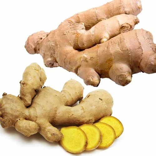Natural Organic Fresh Ginger, for Cooking, Packaging Type : Bag
