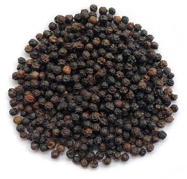 Black Pepper Seeds