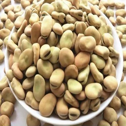 Natural Dried Fava Beans, Packaging Type : Plastic Pack