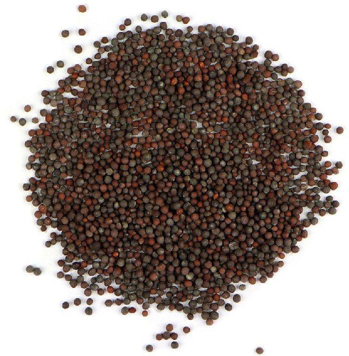 Mustard Seeds, for Cooking, Packaging Size : 250gm
