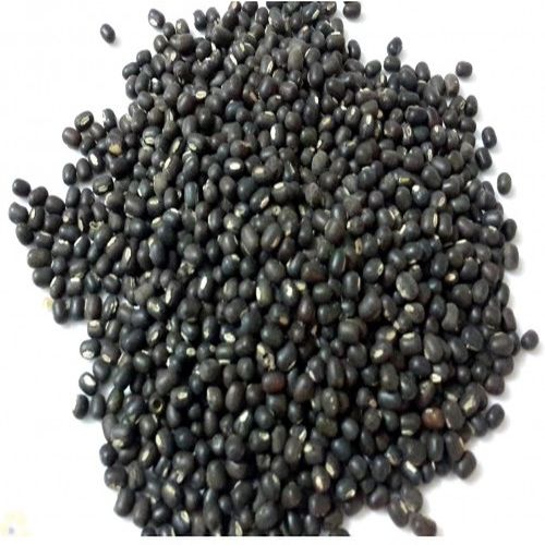 Natural Whole Black Urad Dal, for Human Consumption, Packaging Type : Plastic Packet
