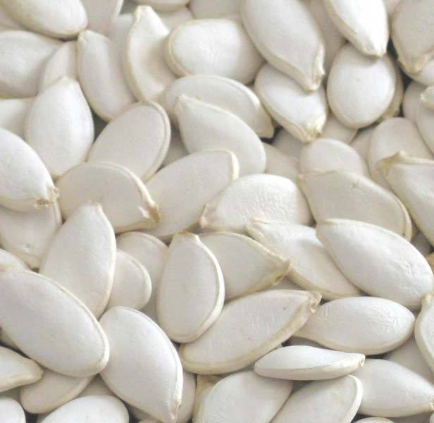 Natural White Pumpkin Seeds for Food Products