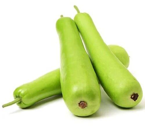 Fresh Bottle Gourd, Packaging Size : 25-50 Kg