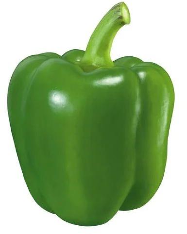 Fresh Capsicum, for Cooking, Packaging Type : Gunny Bag