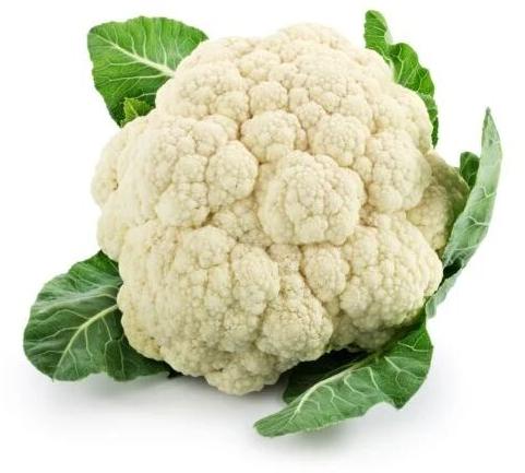 Fresh Cauliflower, Packaging Type : Gunny Bag