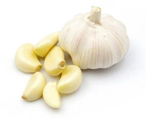 Common Fresh Garlic, for Cooking, Pickles, Packaging Type : Gunny Bags