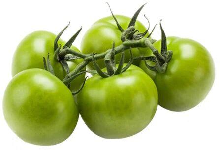 Fresh Green Tomato, Packaging Size : 25-50 Kg