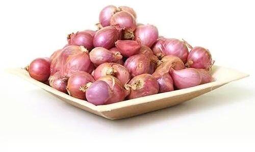 Fresh Shallots Onion, for Cooking, Pickles, Storage Tips : Dry