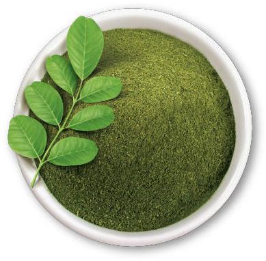 Green Moringa Powder, for Medicines Products, Cosmetics, Style : Dried