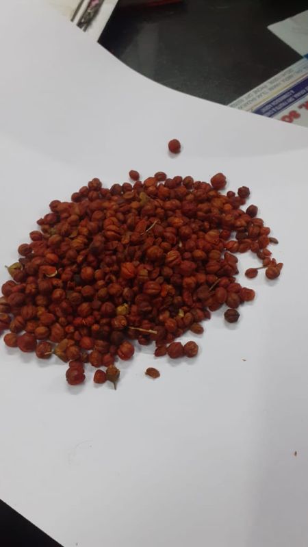 Organic Malkangni Seeds, Packaging Size : 50 Kg