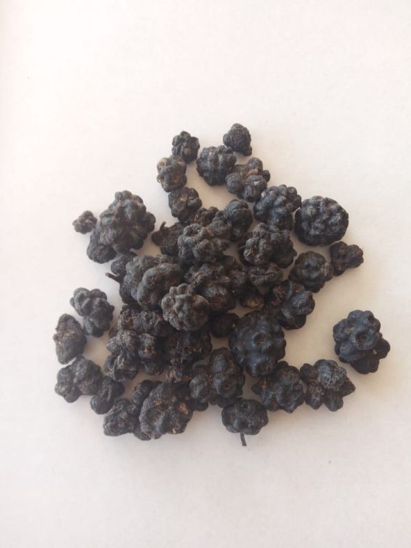 Solid Noni Fruit, Style : Dried