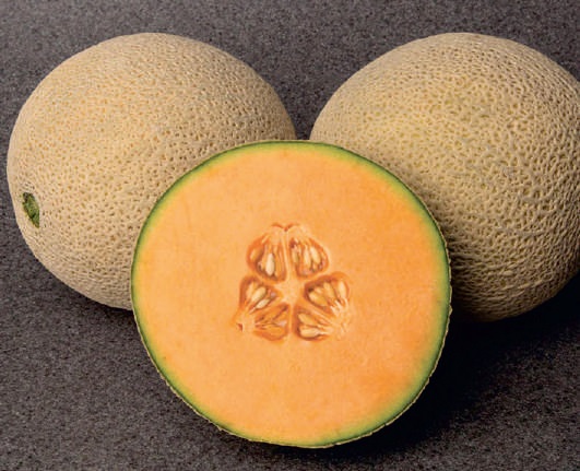 Natural F1-Roshan Muskmelon Seeds, for Agriculture, Style : Dried