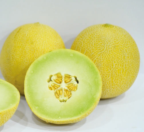 Natural F1-Safal Diamond Muskmelon Seeds, for Agriculture, Style : Dried