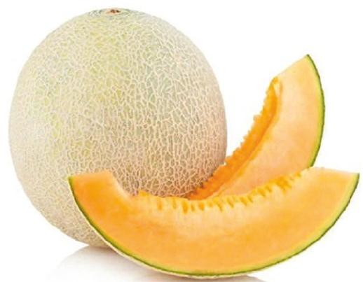 Natural F1-SSB 04 Muskmelon Seeds, for Agriculture, Style : Dried