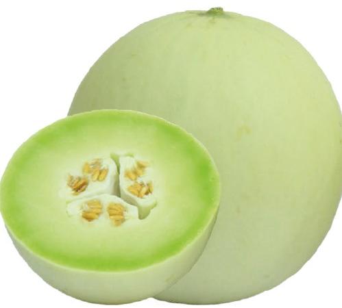 F1 SSB 121 Muskmelon Seeds