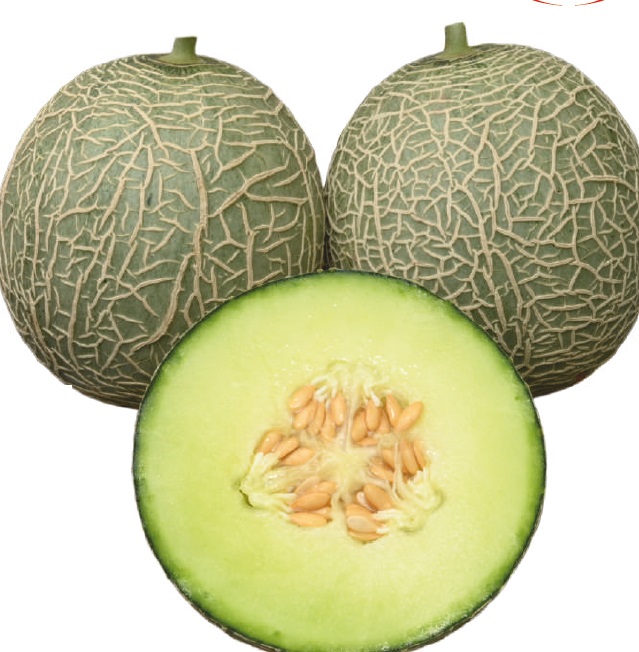 F1-SSB 22 Muskmelon Seeds