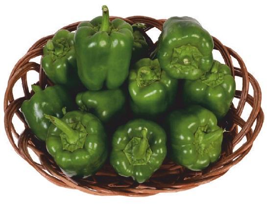 Natural F1-SSB 241 Capsicum Seeds, for Agriculture, Packaging Type : Packet