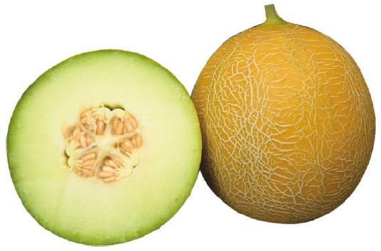 F1-SSB 317 Muskmelon Seeds