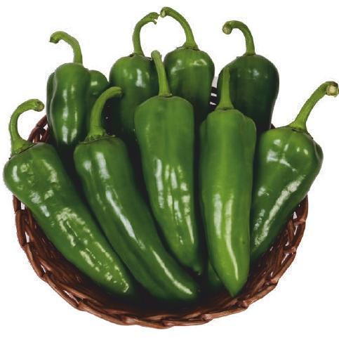 F1-SSB 444 Capsicum Seeds