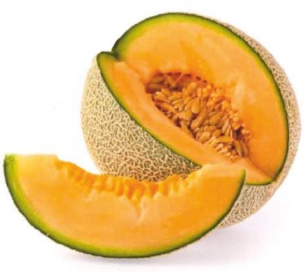 Natural F1-SSB 61 Muskmelon Seeds, for Agriculture, Style : Dried