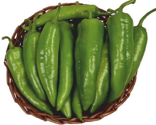 Natural F1-SSB-800 Capsicum Seeds, for Agriculture, Seedlings, Packaging Type : Packet