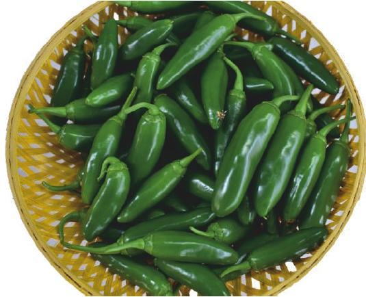 Natural F1-SSB 81 Capsicum Seeds, for Agriculture, Packaging Type : Packet