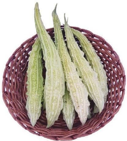 F1 Wazir Bitter Gourd Seeds, for Seedlings, Packaging Type : Plastic Packet