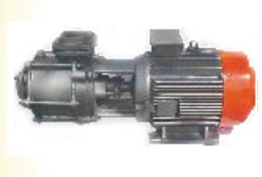 SRF Monoblock Pump