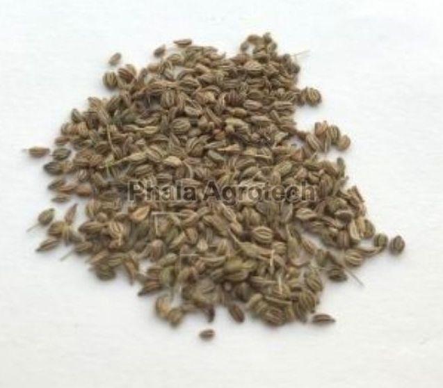 ajwain seeds