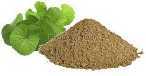 Brahmi Powder, for Medicinal Use, Purity : 99%