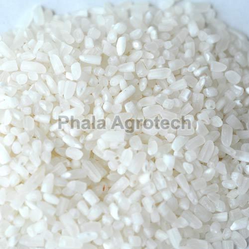 Hard Broken Basmati Rice, Variety : Common