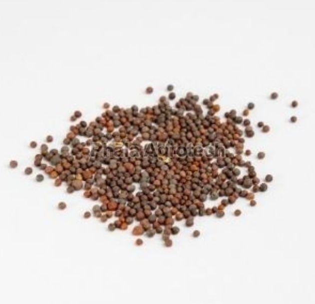 Brown Mustard Seeds