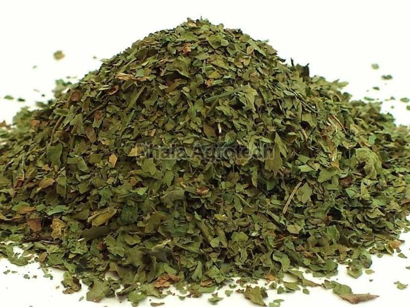 Dehydrated Coriander Leaves