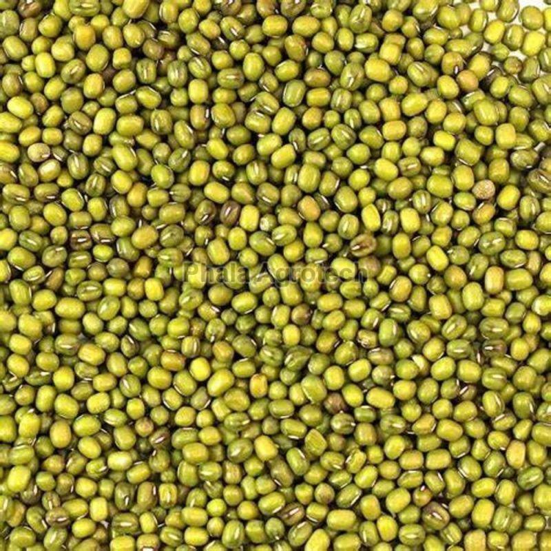 Green Moong Dal, for Cooking, Grade Standard : Food Grade