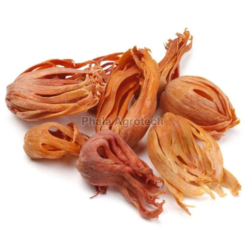 Light Brown Dried Mace Spice