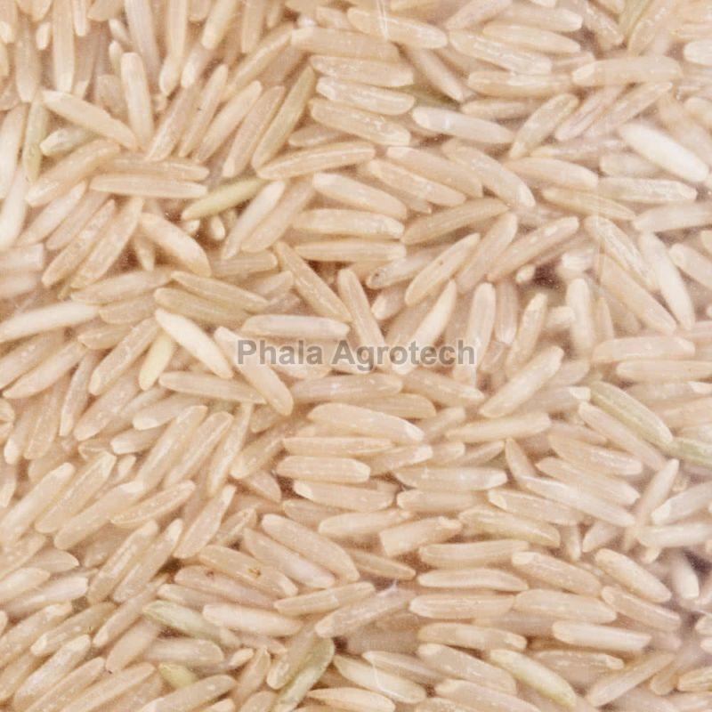 Hard Natural Brown Basmati Rice, Variety : Long Grain