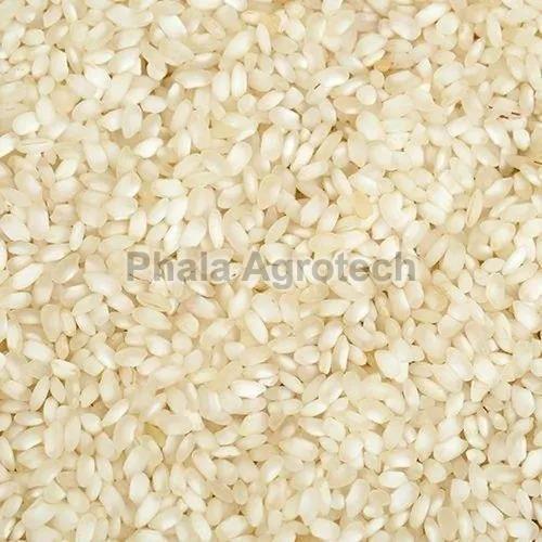 Non Basmati Broken Rice, Variety : Common