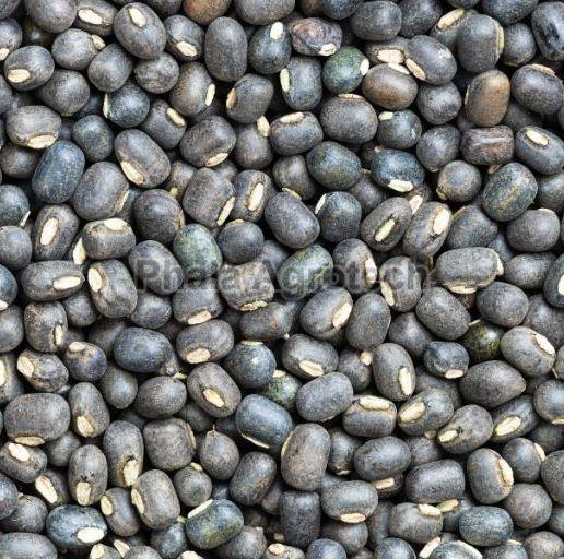 Black Whole Urad Gram, for Cooking, Style : Dried