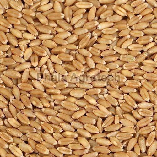 Creamy Natural Whole Wheat Grain