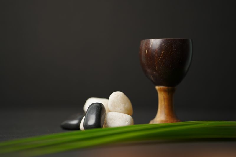 Round Plain Non metal Polished Coconut Shell Wine cups, for Gifting, Feature : Eco friendly