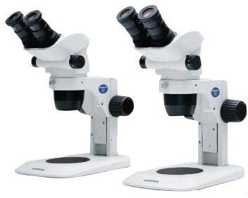 220V Electricity Stereo Microscope, for Science Lab, Forensic Lab, Size : Standard